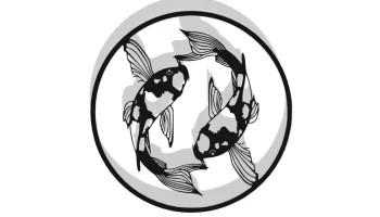 Fish Decor