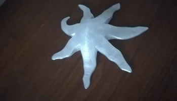 Star fish