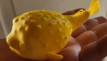 Pez Globo Kawaii (Кавайная рыба фугу/фугу)... 5