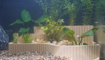 Аквариумный горшок Многоуровневый Aquascape 2