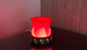 Спиральная ваза Роза Ночник