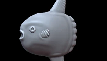 Mola Mola 1