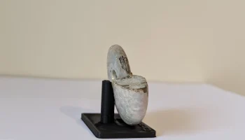 Подставка для ископаемых аммонитов (или любая круглая вещ... 1