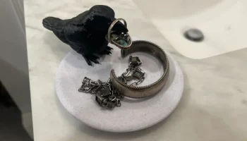 Ювелирное блюдо Baby Crow