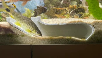 Подземная рыбная пещера 3 варианта (для Big Fish V.2)... 2