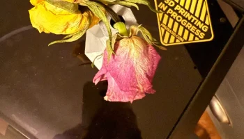 Ваза "Вращающийся вихрь" 5