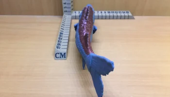 Barracuda 5