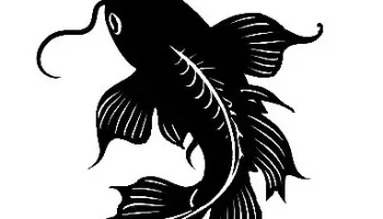 Fish 1