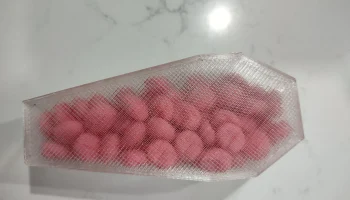 Чехол для гроба 1