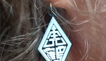 Серьги Hung Gar Kung Fu Серьги Hung Gar Kung Fu