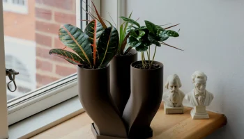 Tri pot