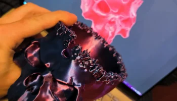 Серия "Король черепа" нежити _ Skull-Bowl -3D Модель 4