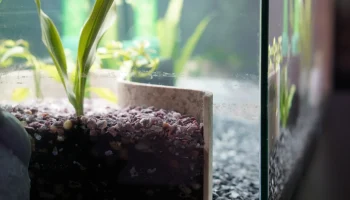 Подпорная стенка аквариума для растений 5