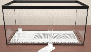 Аквариумные биологические пластины 2