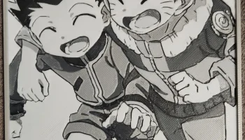 Hunter x Naruto - HueForge