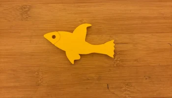 guppy fish 2