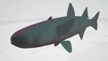 3D модель