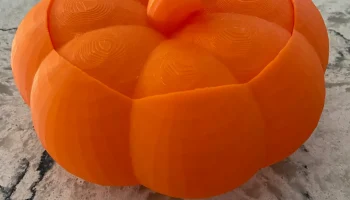 Тыквенная миска с крышкой 1