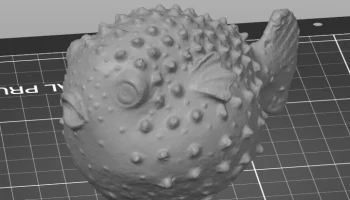 Blowfish 6
