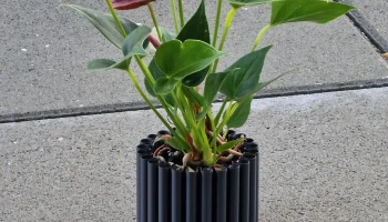 Современная ваза Wriggly Vasemode