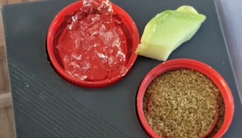 Блюдо/лоток для кормления клопов с пандусом