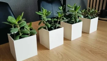 cool vase