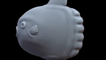 Mola Mola 3