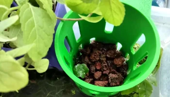 Корзина для гидропонных растений 3