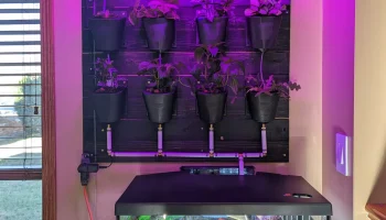 Автоматизированная аквапоническая система 3