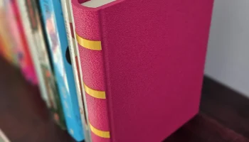 "Книжный" форзац