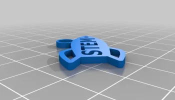 Знаки за заслуги в области STEM 1