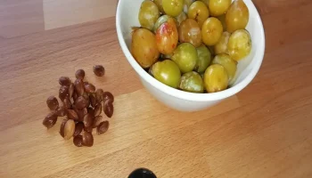 Инструмент для удаления камней Мирабель. 2