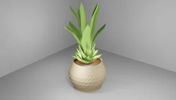 Pot Pot
