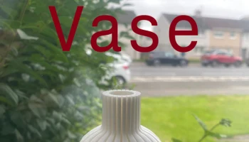 Cool Vase 1