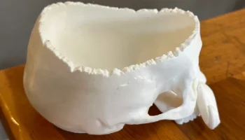 Череп с усами (V2) - Конфетница | Украшение Хэллоуина 4
