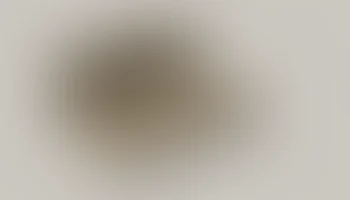 Стеганый текстурированный футляр с дополнительной вставк... 1