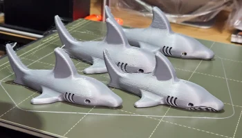 Shark 5