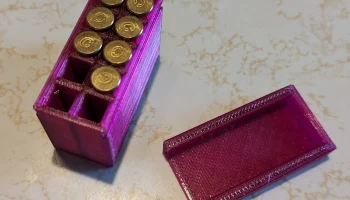 Коробка на 10 патронов .22 LR 1