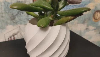 Plant vase