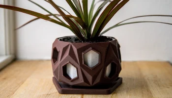 Pot 26