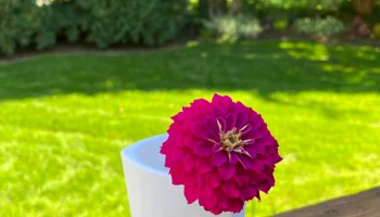 Small Vase