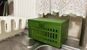 Sponge Box