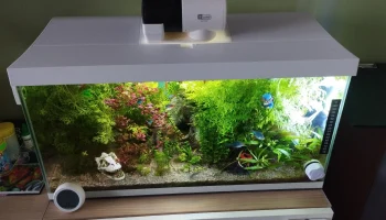 Кормушка для аквариума YEE YSQ-750 Rev.1