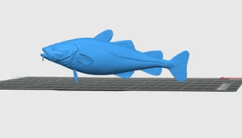 Тихоокеанская треска (Gadus macrocephalus)...