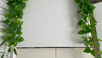 Vine Vase Vine Vase
