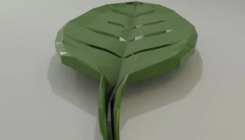 Мыльница из листьев 2