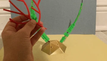 Низкополигональный набор коралловых рифов Немо... 7