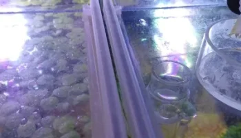 Зажимы для раздвижной крышки аквариума Anko
