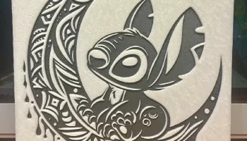 Stitch 1