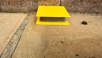 Дом Ant Bait Station - Nippon или аналогичный, внутренни...